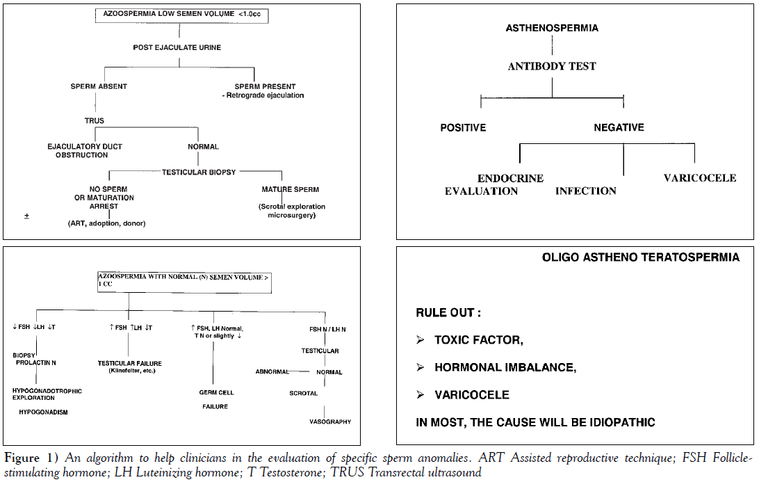 sexual-reproductive-medicine-sperm-anomalies