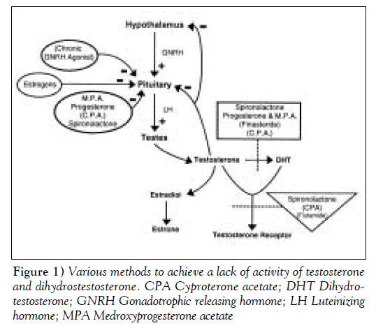 sexual-reproductive-medicine-testosterone-dihydrostestosterone