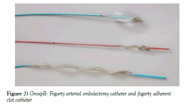 vascular-diseases-treatment-fogarty-adherent