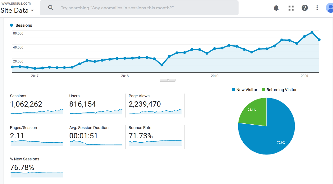 Visitor Analysis Report